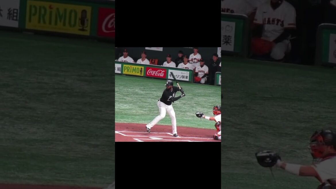 【マリーンズ】ポランコのバッティングフォーム　2024年3月19日 読売ジャイアンツ対 千葉ロッテマリーンズ #プロ野球 #野球 #baseball