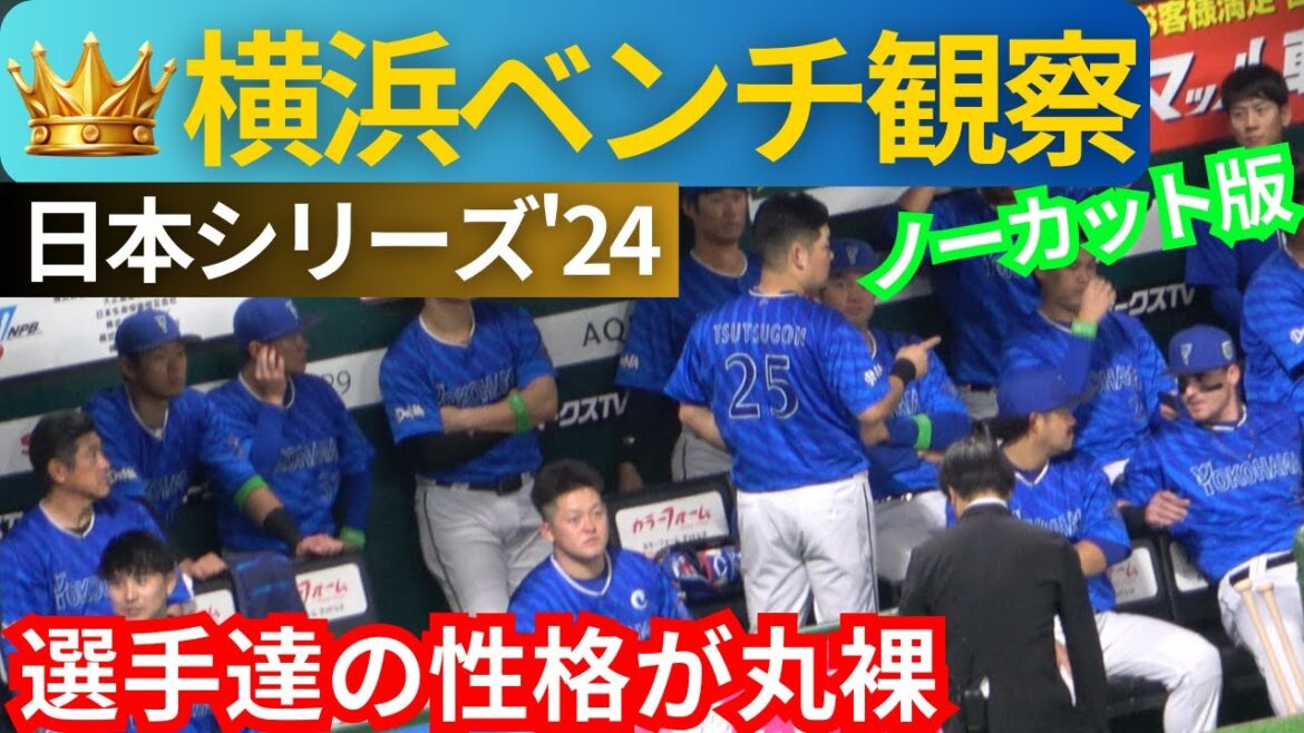 【ベンチ&スタンド応援】試合前&戸柱タイムリー､森敬斗､桑原将志の打席【横浜DeNAベイスターズ】地震並に揺れるPayPayドーム【日本シリーズ2024】三浦監督の佐野と宮崎への挙動に感動