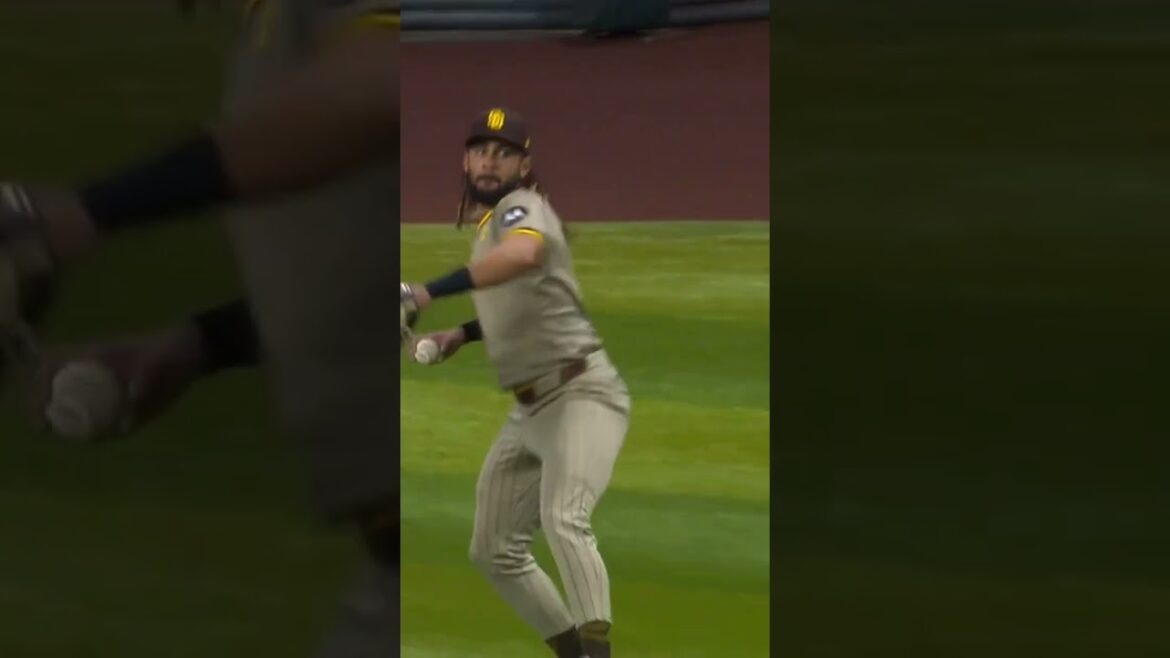 Fernando Tatis Jr nabs Ketel Marte #mlb #beisbol #baseball #fernandotatisjr #ketelmarte