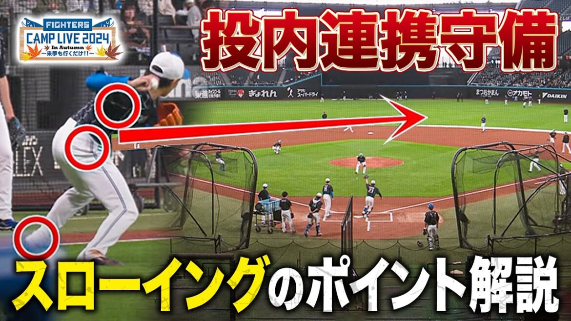 投内連携守備 スローイングのポイント解説<11/3ファイターズ秋季キャンプ2024> 投内連携守備 スローイングのポイント解説<11/3ファイターズ秋季キャンプ2024>