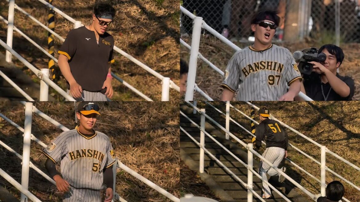 【キツすぎて座り込む場面も】地獄の階段ダッシュに声も体も悲鳴を上げる野手陣【阪神秋季キャンプ】2024.11.3