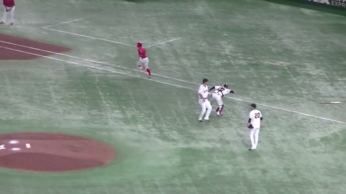 上本崇司がしっかり送りバントを決める（2024年6月28日読売ジャイアンツ対 広島カープ）