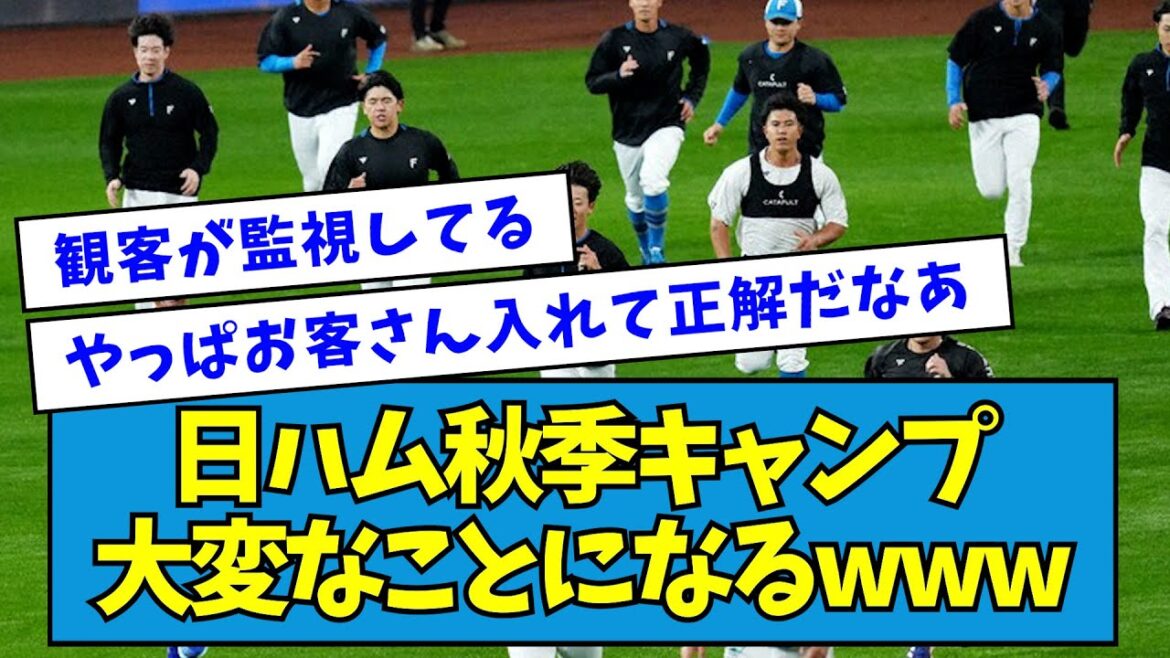 【?!】日ハム秋季キャンプ、大変なことになるwwwwwwwww【なんJ反応】 【?!】日ハム秋季キャンプ、大変なことになるwwwwwwwww【なんJ反応】