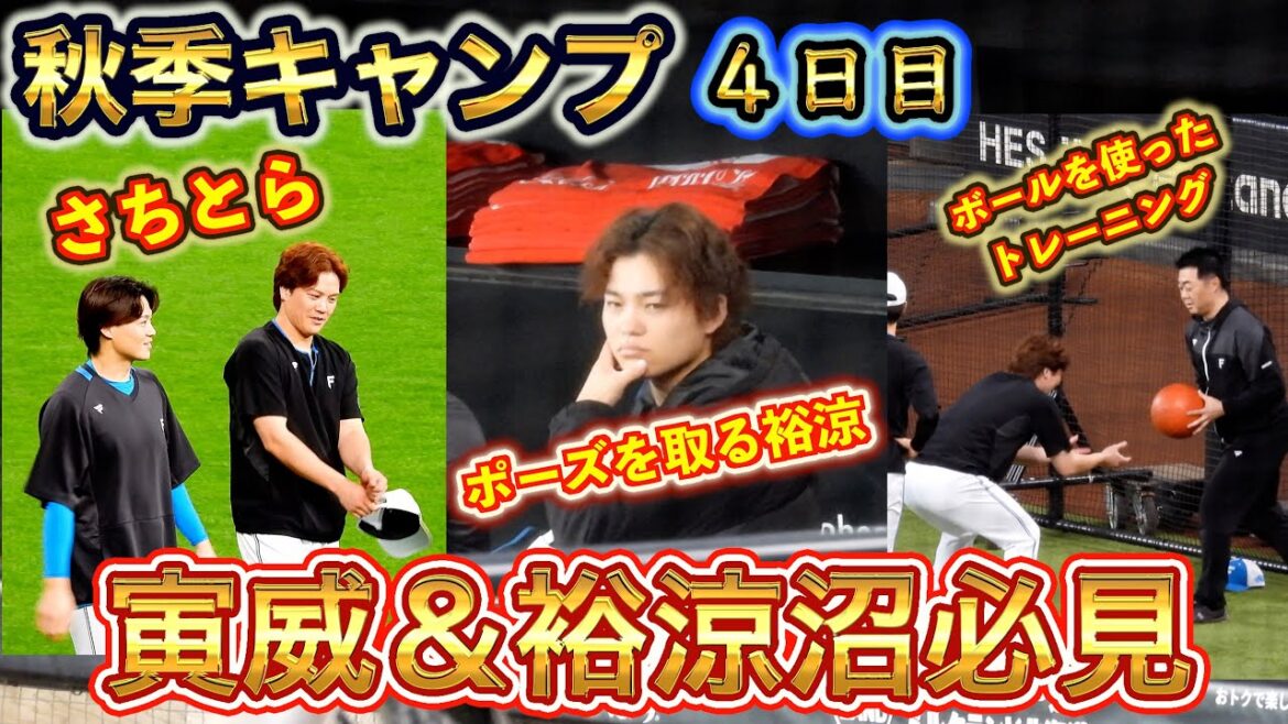 【20241104】キャンプ４日目　寅威＆裕涼沼専用（アップや打撃練習）