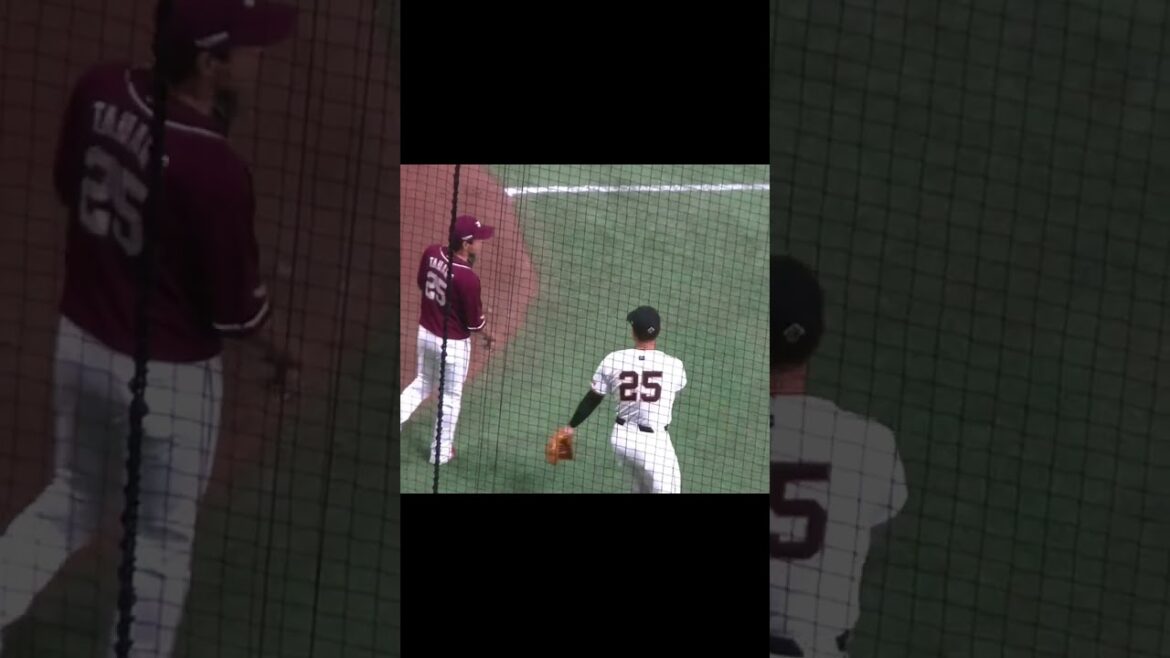 【巨人楽天練習中コミュ力】岡本和真と話す田中和基【 読売ジャイアンツ対 楽天ゴールデンイーグルス2024年3月22日】