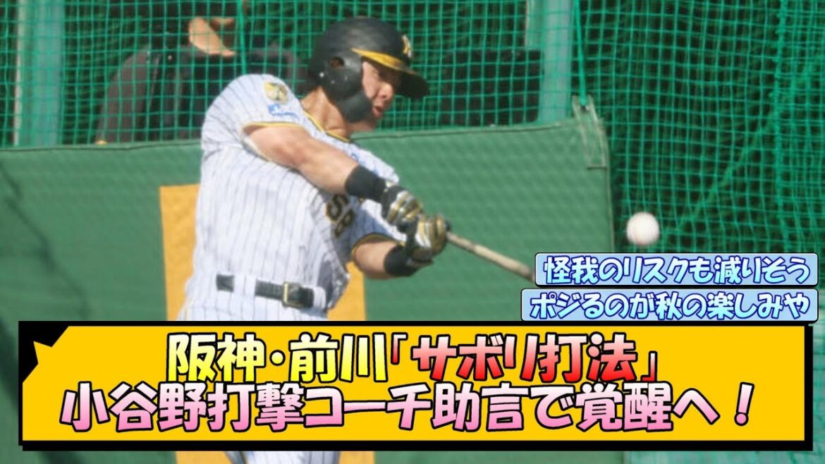 阪神・前川「サボリ打法」 小谷野打撃コーチ助言で覚醒へ！【なんJ/2ch/5ch/ネット 反応 まとめ/阪神タイガース/藤川球児】