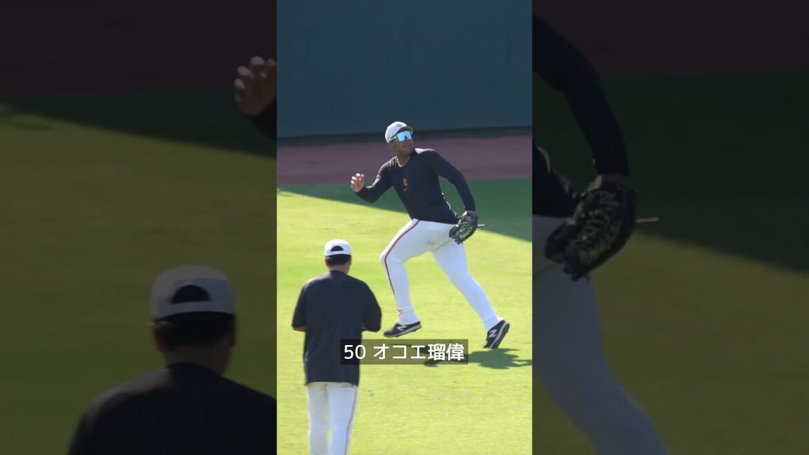 【巨人】好守連発!守備練習 #shorts #baseball #sports #ジャイアンツ #巨人 #プロ野球 【巨人】好守連発!守備練習 #shorts #baseball #sports #ジャイアンツ #巨人 #プロ野球