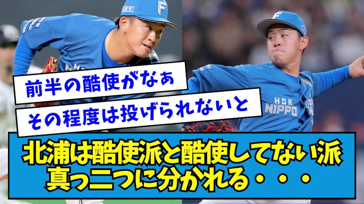 【賛否】日ハム・北浦は酷使派と酷使してない派真っ二つに分かれる・・・【なんJ反応】