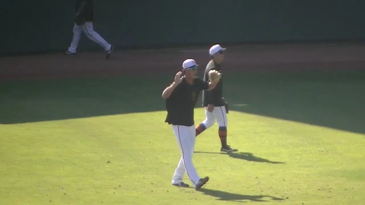 【ジャイアンツ】外野ノック中 秋広優人など【巨人 秋季練習 2024年11月3日】 #読売ジャイアンツ