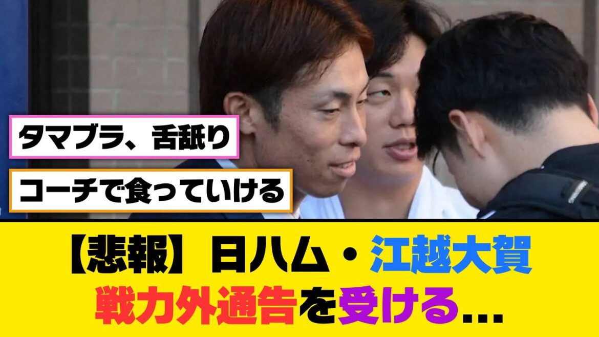 【悲報】日ハム・江越大賀、戦力外通告を受ける...【5ch/2ch】【なんj/なんg】【反応集】
