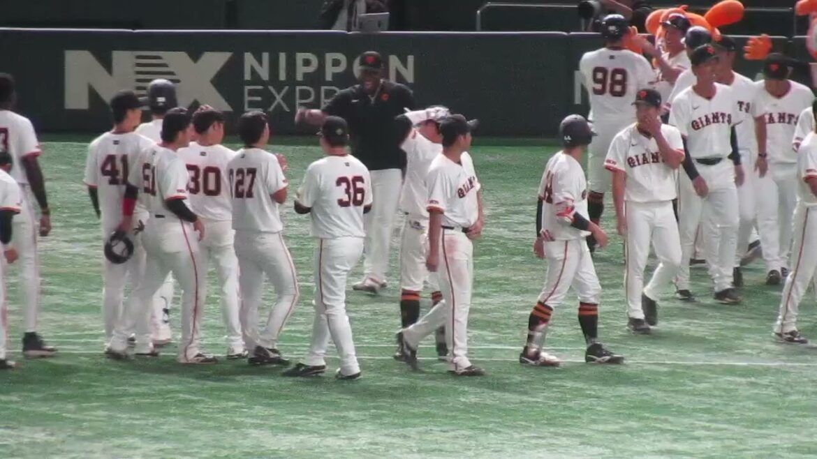 【ジャイアンツ2軍】ウレーニャが東京ドーム試合でサヨナラヒット打った時の2軍選手たちのベンチの盛り上がり（読売ジャイアンツ 対 楽天ゴールデンイーグルス 2024年9月22日）