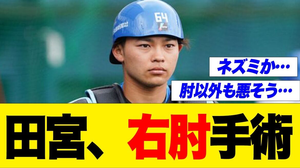 【日ハム】田宮裕涼、右肘を手術していた
