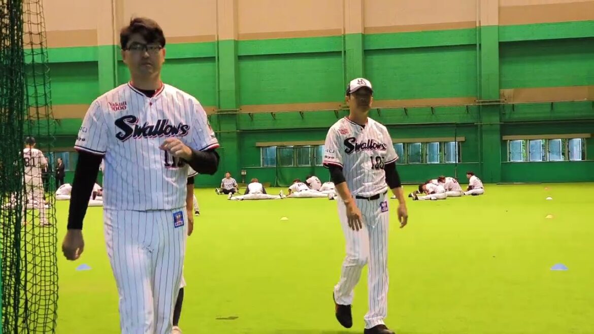 東京ヤクルトスワローズ松山秋季キャンプ2024 11/2松山中央公園屋内運動場 東京ヤクルトスワローズ松山秋季キャンプ2024 11/2松山中央公園屋内運動場