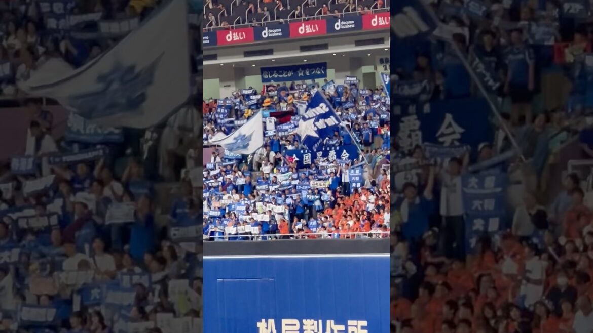 日本一DeNA🏆熱き星たちよ⚾️ラッキー7🔥✨2024.10.6 ナゴヤドームライトドラゴンズ応援✨️DeNA最終戦敗れ😵60勝75敗8分け3年連続💦最下位確定😰#立浪 #中日 #dena