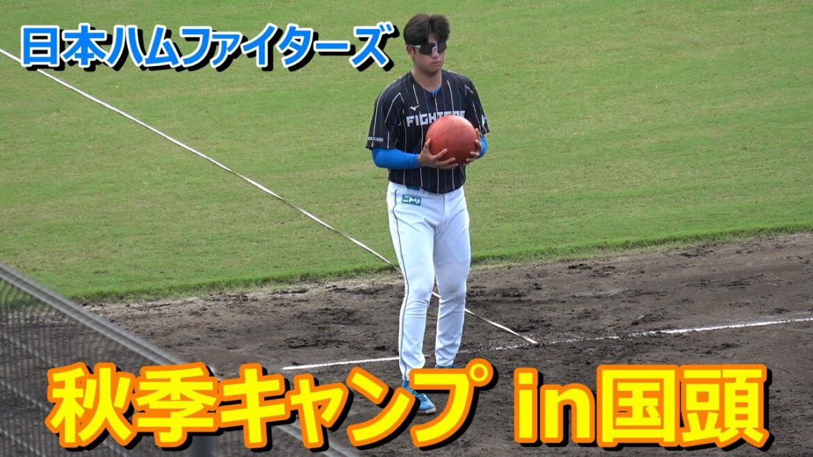 【国頭秋季キャンプ2024】~北海道日本ハムファイターズ~ 【国頭秋季キャンプ2024】~北海道日本ハムファイターズ~