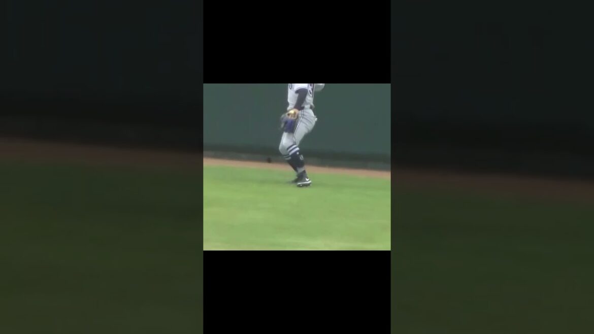 松原聖弥 超強風で5メートルくらいボールが流される中しっかりキャッチするファインプレー（ヤクルトスワローズ対 読売ジャイアンツ2024年5月6日） #松原聖弥