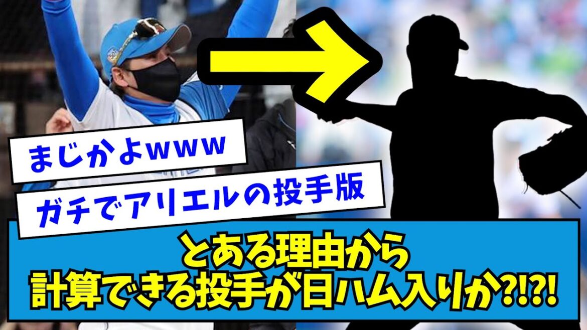 【補強か？】とある理由から、計算できる投手が日ハム入りか?!?!【なんJ反応】【なんJ反応】
