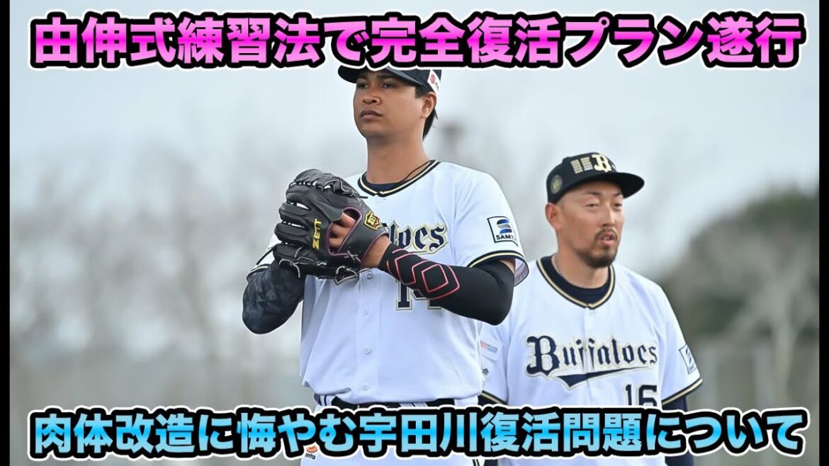 【由伸式で完全復活】ウエイトに悔やむ宇田川の復活問題を解説!! 強力中継ぎ陣の一角が新人王候補とバチバチな件について【オリックスバファローズ】