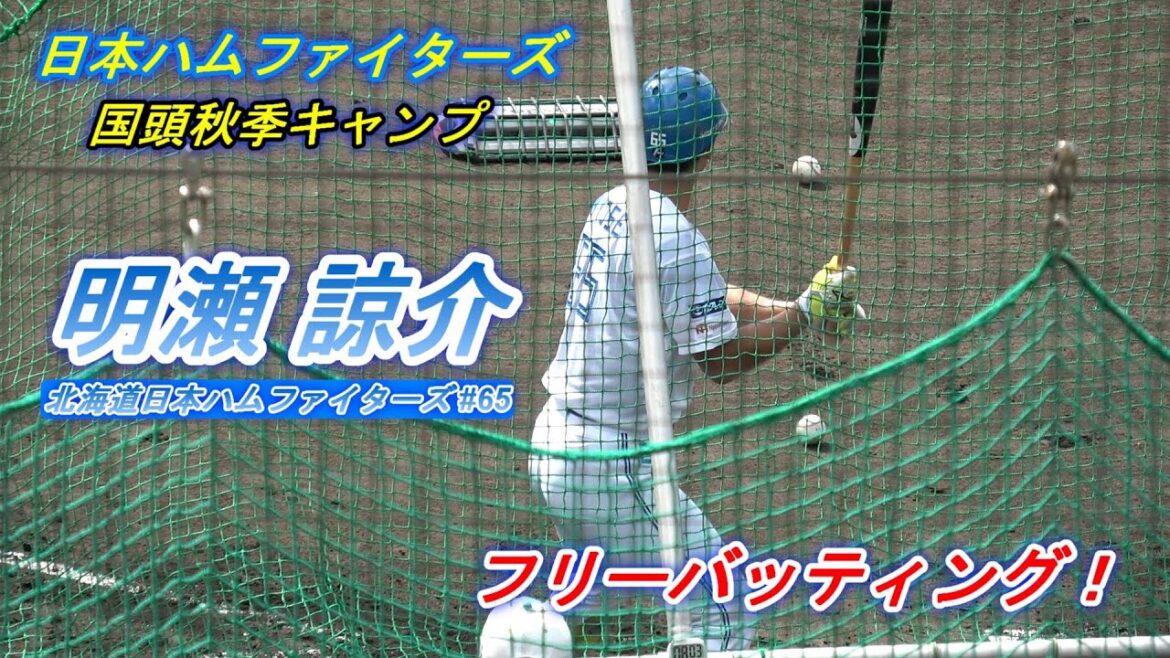 【国頭秋季キャンプ2024】明瀬 諒介・・・フリーバッティング!~北海道日本ハムファイターズ~ 【国頭秋季キャンプ2024】明瀬 諒介・・・フリーバッティング!~北海道日本ハムファイターズ~