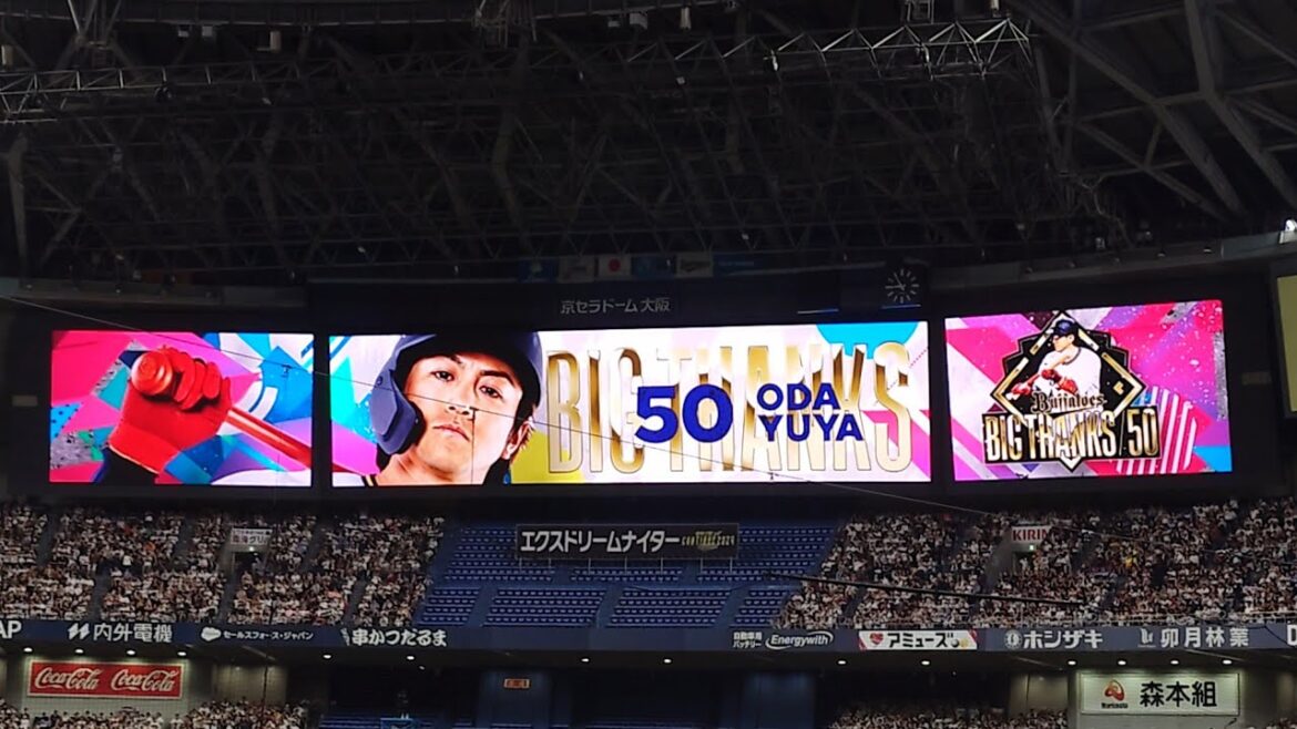 小田裕也 選手 ｢WANIMA  CHARM｣ 現役最後の打席  登場曲 オリックス･バファローズ 選手 ビジョン映像 PV 特別演出 応援歌 @京セラドーム 2024