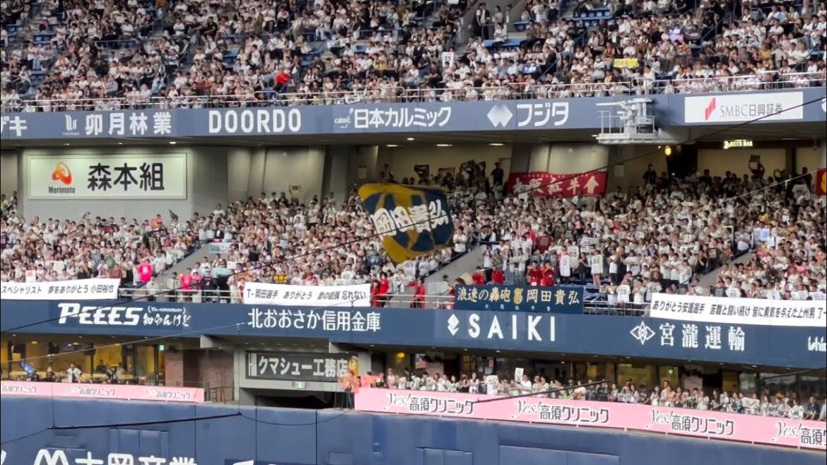 【地鳴りの様な歓声】[全打席分] オリックス T-岡田 応援歌 得点圏ver. 2024.9.24