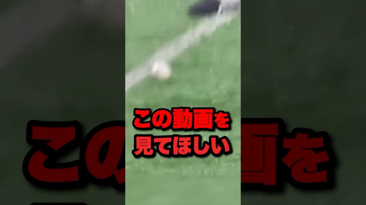 この動画を見てほしい #野球 #フルスイングスクイズ #ソフトバンク