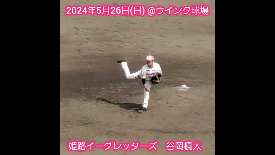 20240526　#谷岡楓太 の投球練習　姫路ｲｰｸﾞﾚｯﾀｰｽﾞ　#shorts　元ｵﾘｯｸｽ･ﾊﾞﾌｧﾛｰｽﾞ　投球ﾌｫｰﾑ@ｳｲﾝｸ球場［さわかみ関西独立ﾘｰｸﾞ公式戦］姫路市立姫路球場