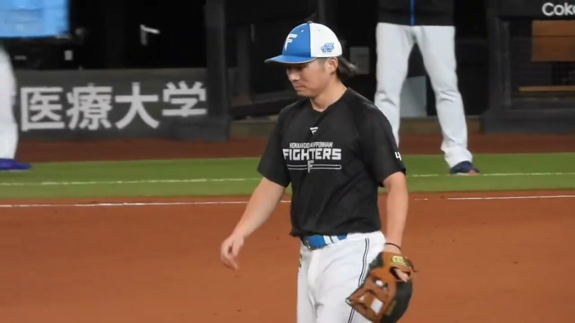 谷内亮太コーチの鬼ノック🔥内野特守に上川畑大悟、石井一成が参加‼︎北海道日本ハムファイターズ秋季キャンプエスコンフィールド北海道