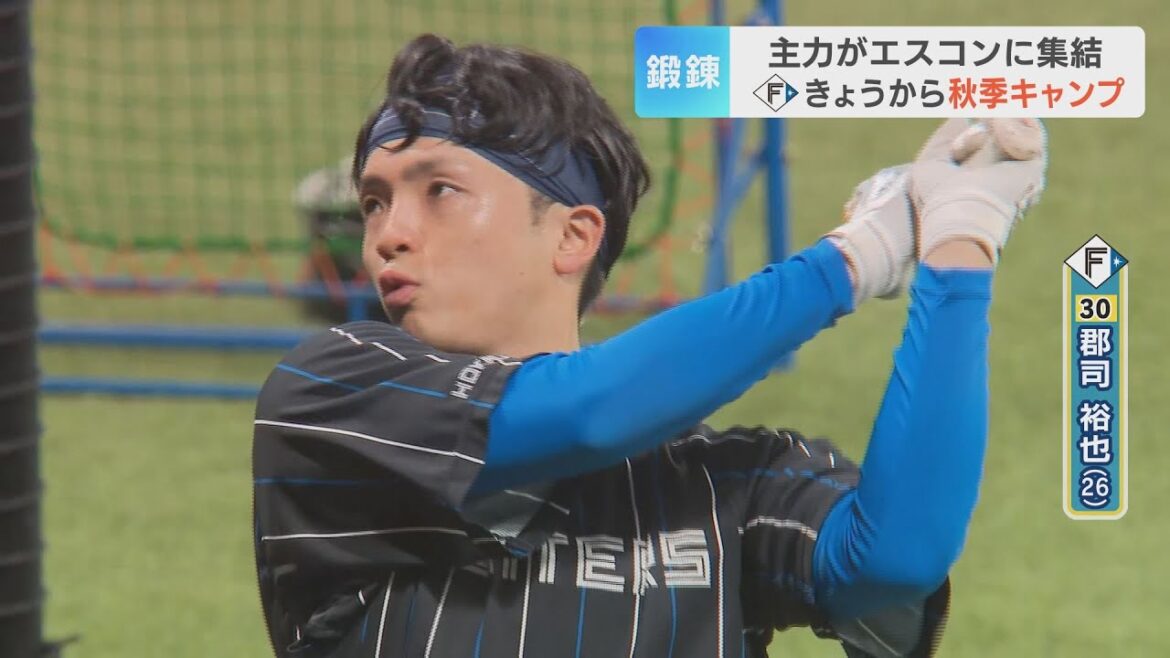 【ファイターズ】エスコンFで秋季キャンプスタート 約6000人のファンの前で“鍛錬の秋” 【ファイターズ】エスコンFで秋季キャンプスタート 約6000人のファンの前で“鍛錬の秋”