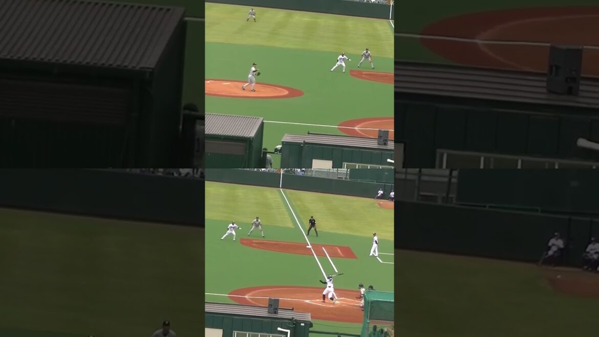 三ツ俣大樹を三振にとる松井颯（ヤクルトスワローズ対 読売ジャイアンツ2024年5月6日） #松井颯