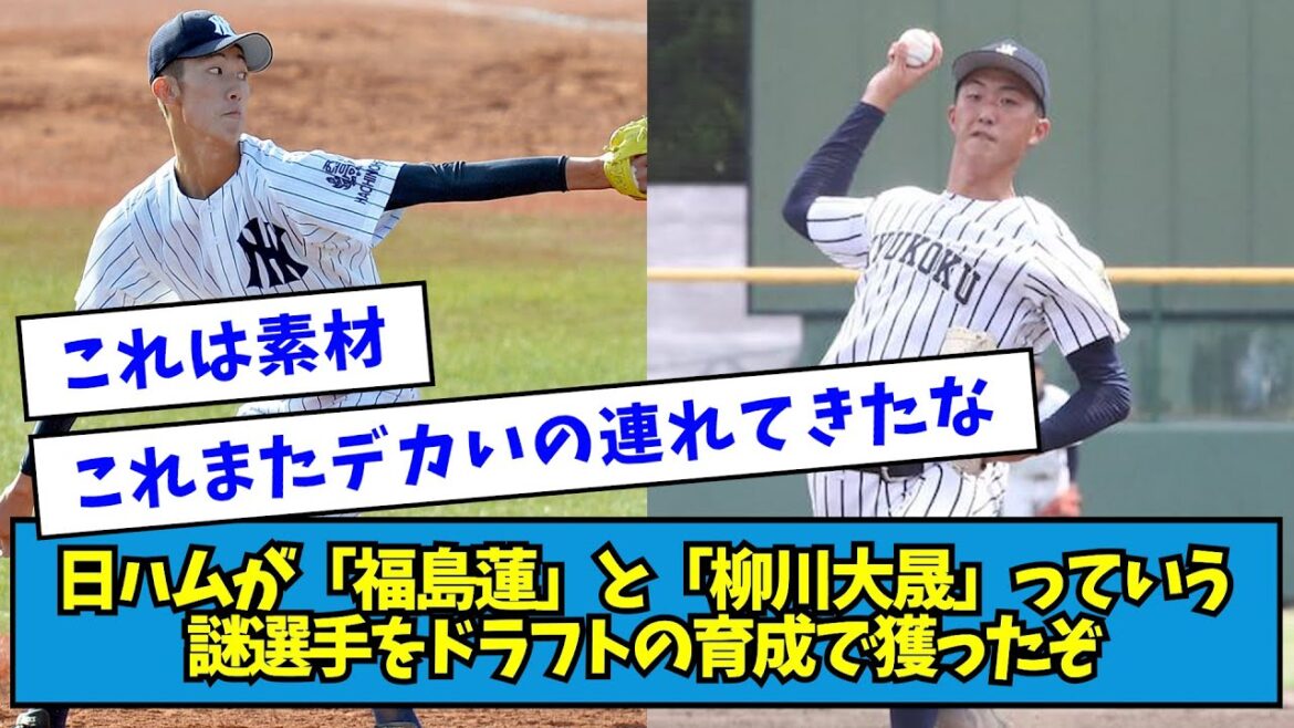 【2021年】日本ハムが「福島蓮」と「柳川大晟」っていう謎選手をドラフトの育成で獲ったぞ【なんJ反応】 【2021年】日本ハムが「福島蓮」と「柳川大晟」っていう謎選手をドラフトの育成で獲ったぞ【なんJ反応】