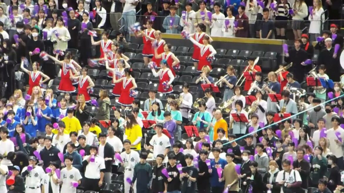 札幌南高校 - TRAIN-TRAIN (トレイン・トレイン) ‐ 野球応援演奏 - 第77回秋季北海道高等学校野球大会 - 2024年