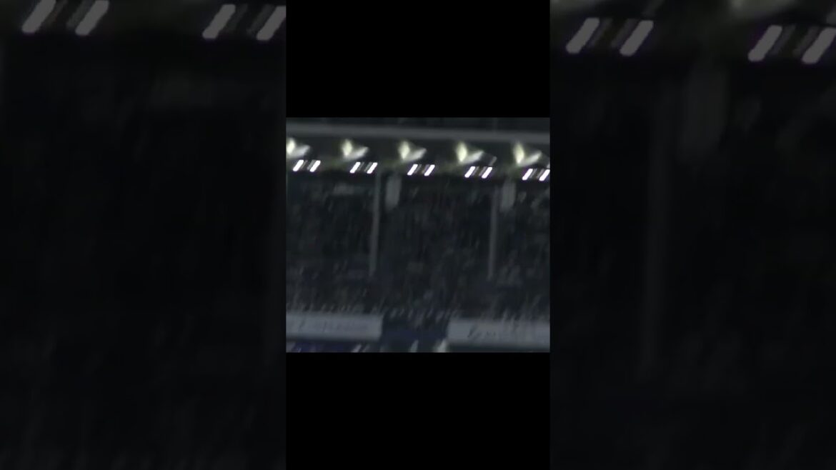 武岡龍世を三振にとる菅野智之（2024年4月11日 ヤクルトスワローズ 対 読売ジャイアンツ） #菅野智之