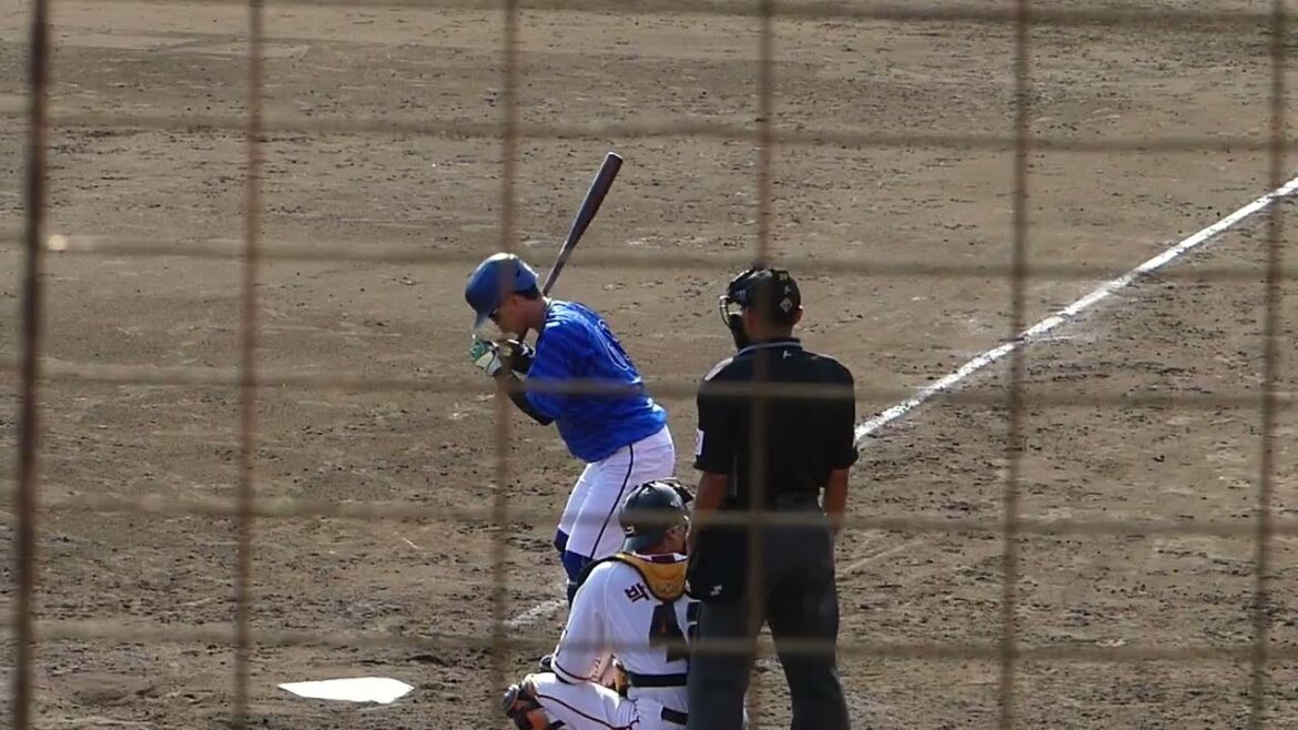 2024年10月みやざきフェニックスリーグ ハンファー横浜DeNA・関根 大気 選手の第2打席