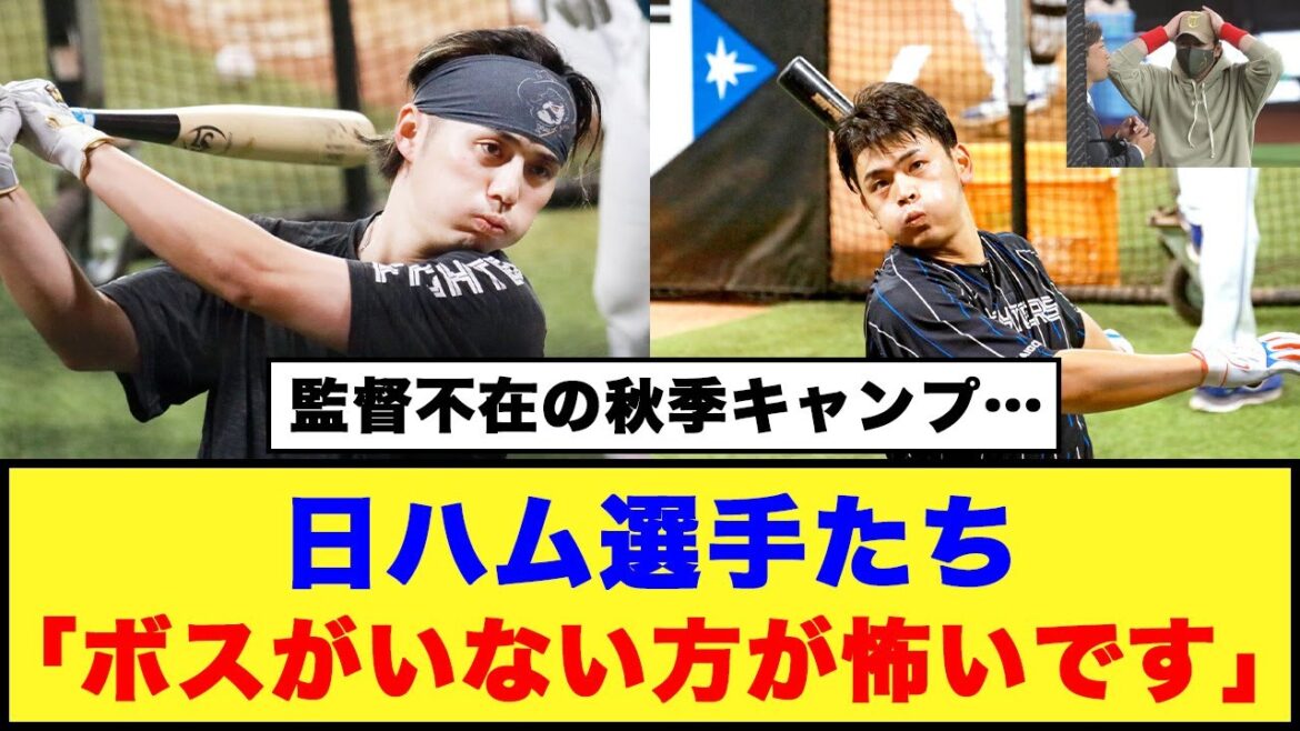 【アップデート中】監督不在の秋季キャンプ…日ハム選手たちは「ボスがいない方が怖いです」