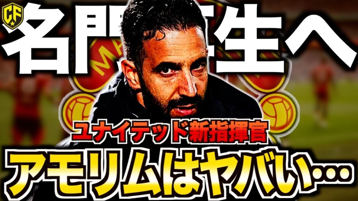 【新監督就任!!】ルベン・アモリムがマンチェスターユナイテッドの監督に就任!大改革の前触れを語ります 【新監督就任!!】ルベン・アモリムがマンチェスターユナイテッドの監督に就任!大改革の前触れを語ります