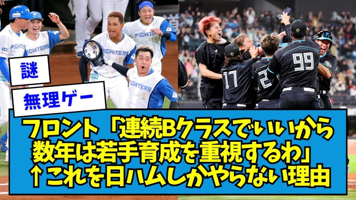 【謎】フロント「連続Bクラスでいいから数年は若手育成を重視するわ」←これを日ハムしかやらない理由【なんJ反応】 【謎】フロント「連続Bクラスでいいから数年は若手育成を重視するわ」←これを日ハムしかやらない理由【なんJ反応】