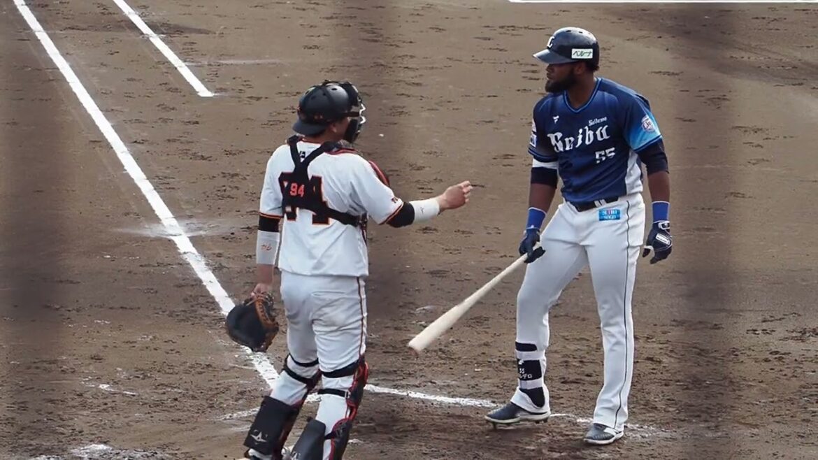 2024.04.30 読売-埼玉西武(ジャイアンツ) コルデロ 打席シーン