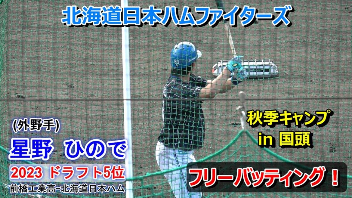 【国頭秋季キャンプ2024】星野 ひので・・・フリーバッティング！～北海道日本ハムファイターズ～