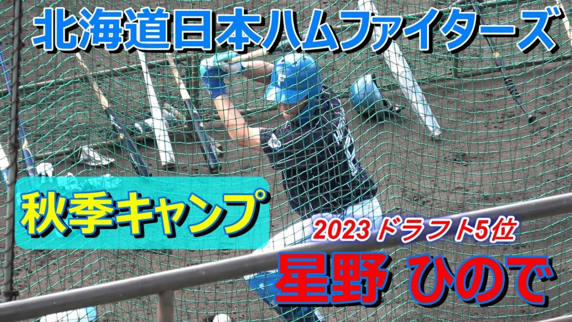 【国頭秋季キャンプ2024】星野 ひので・・・ティーバッティング！～北海道日本ハムファイターズ～