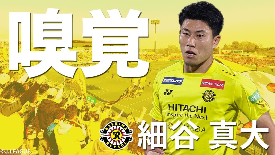 【太陽王の大エース】次代を担う若きストライカー・細谷真大（柏レイソル）プレー集【今節のPICK UP】