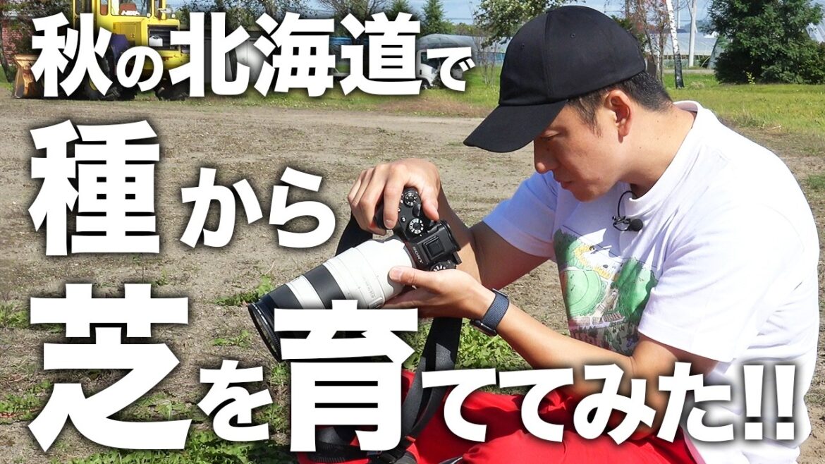 【検証】秋の北海道でも天然芝は成長する!?