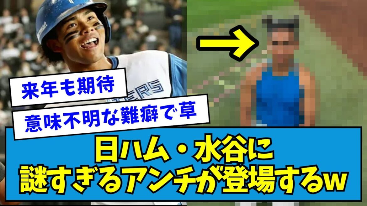 【?!】日ハム・水谷に謎すぎるアンチが登場するwwwww【なんJ反応】 【?!】日ハム・水谷に謎すぎるアンチが登場するwwwww【なんJ反応】