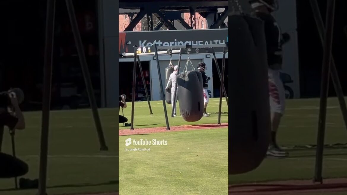 Bengals D line going through drills Thursday Bengals D line going through drills Thursday
