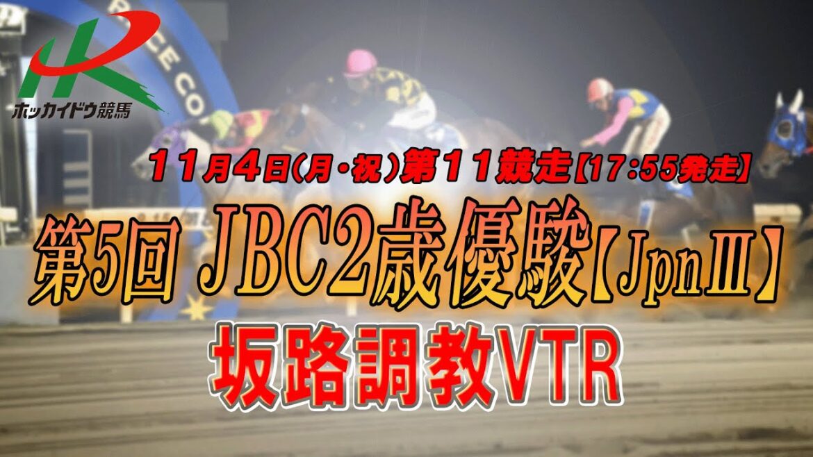 【2024坂路調教映像】11/4（月・祝）　第11競走　JBC２歳優駿