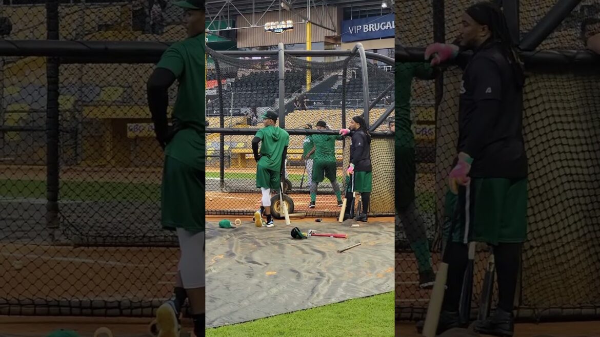 Wilin Rosario en prácticas de bateo 🔥