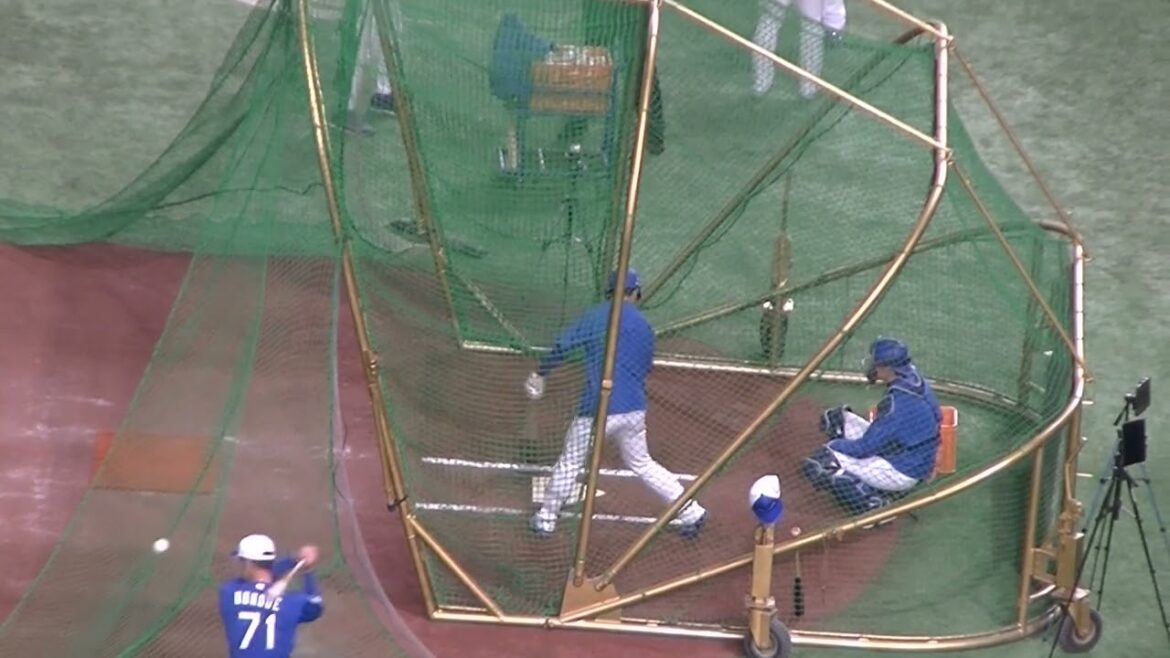 【ドラゴンズ】山本泰寛フリーバッティング＜読売ジャイアンツ 対 中日ドラゴンズ 2024年4月24日＞