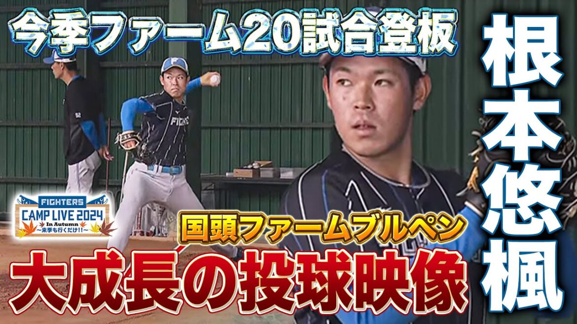根本悠楓 今季1軍登板数減もファームで進化か！国頭ファームブルペンを解説・鶴岡慎也さんが絶賛＜11/7ファイターズ秋季キャンプ2024＞