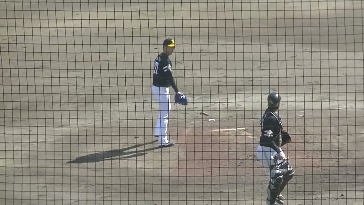 ホークス齊藤大将ピッチングフォーム2024年9月2日