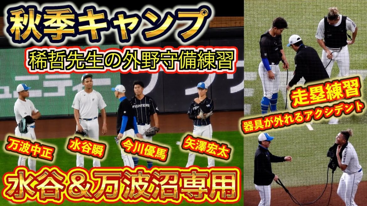 【20241102】キャンプ２日目　水谷・万波沼専用（走塁・打撃・守備練習）